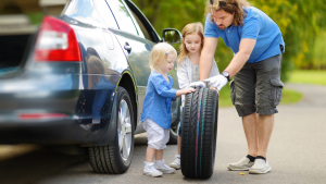 cars carry precious cargo (humans)