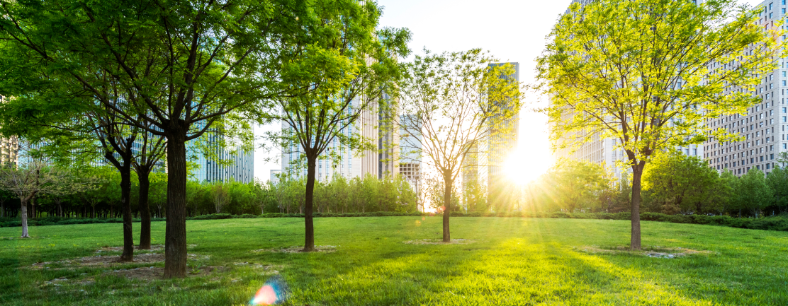 Park in front with green space and cityscape in background with setting sun